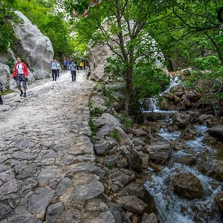 Zaterini * Starigrad Paklenica