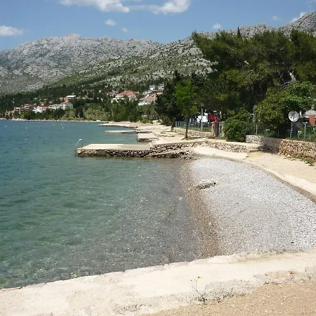 Zaterini *